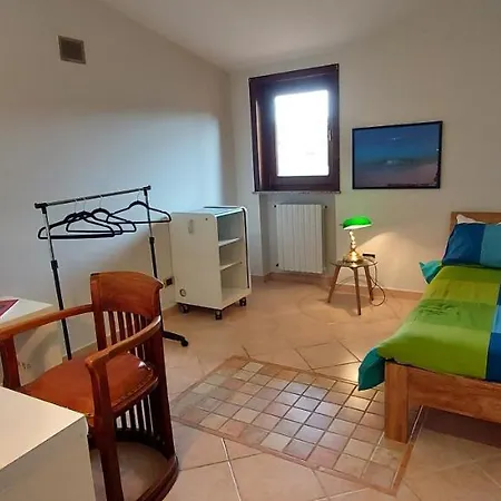 Nido Di Rondini